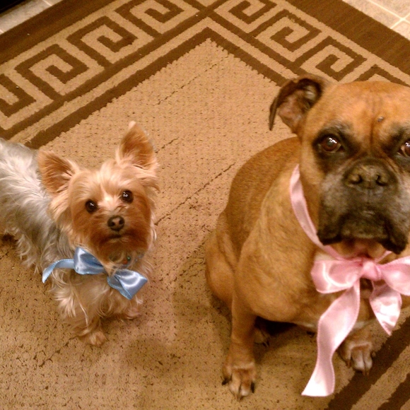 Meet your Posher, Think - Picture 4 of 5